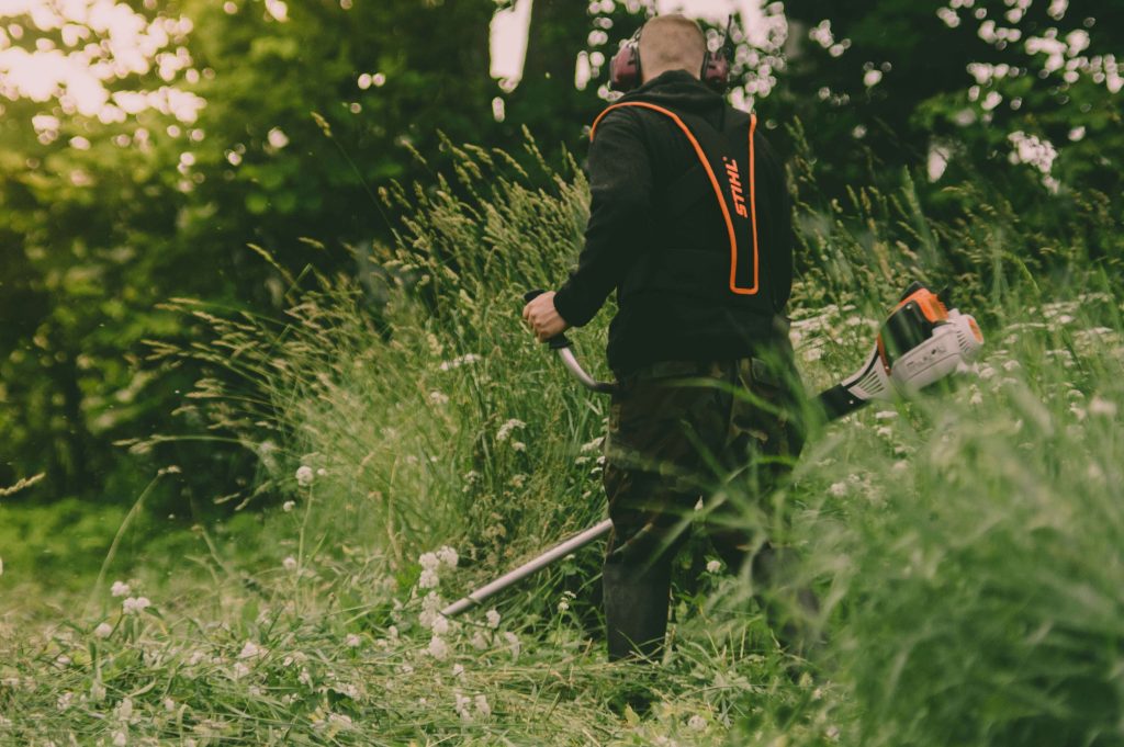 Čišćenje okućnice